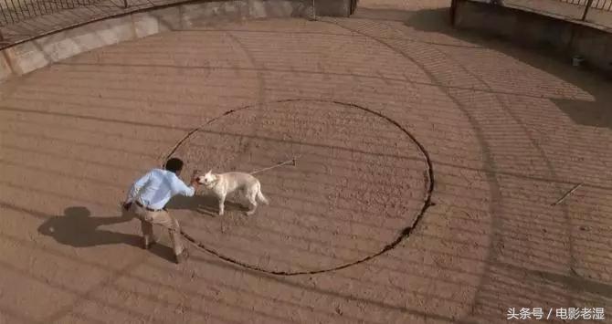 上百部高分恐怖片,全看完我敬你是条汉子(第二季)