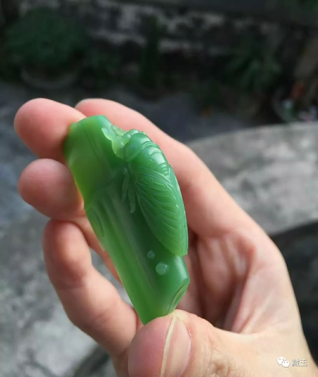 为啥碧玉卖得少,收藏级碧玉