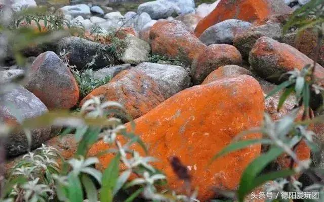 德阳爱玩团:雅安有个小县城要逆天!满足你所有的幻想