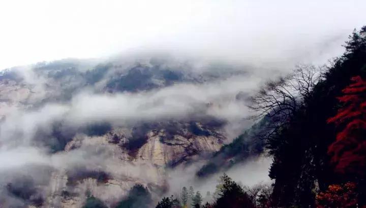 天堂寨你最美抖音,天堂寨天堂之境