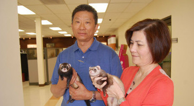 农村很多人不知道的养羊技术,一般人不知道的养殖项目