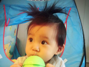 炸毛君的视频,炸毛君