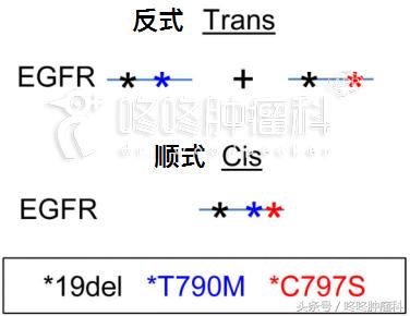 如何克服AZD9291的耐药，基因突变还分顺反？顺手教你破解之道