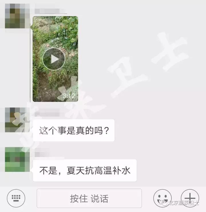 黄瓜蔬菜价格行情最新今天,近几天新发地黄瓜的价格