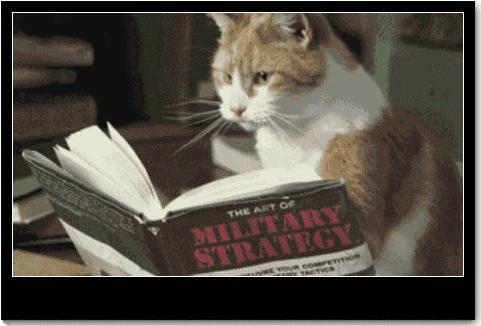 宝妈喝米汤对宝宝有什么影响吗,宝爸宝妈一定要重视这几点