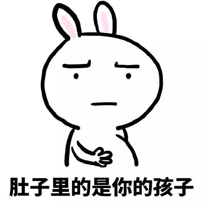 仓鼠一般能生多少只,每个品种的仓鼠都很能生吗