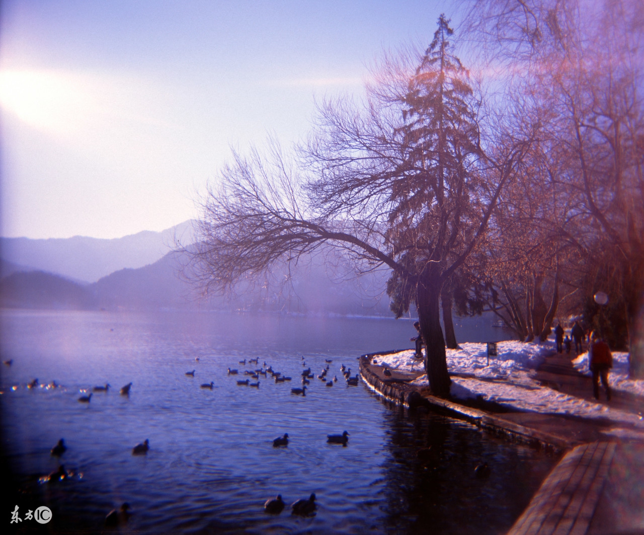 婆婆经常迷信我怎么办,婆婆太迷信影响到我的生活怎么办