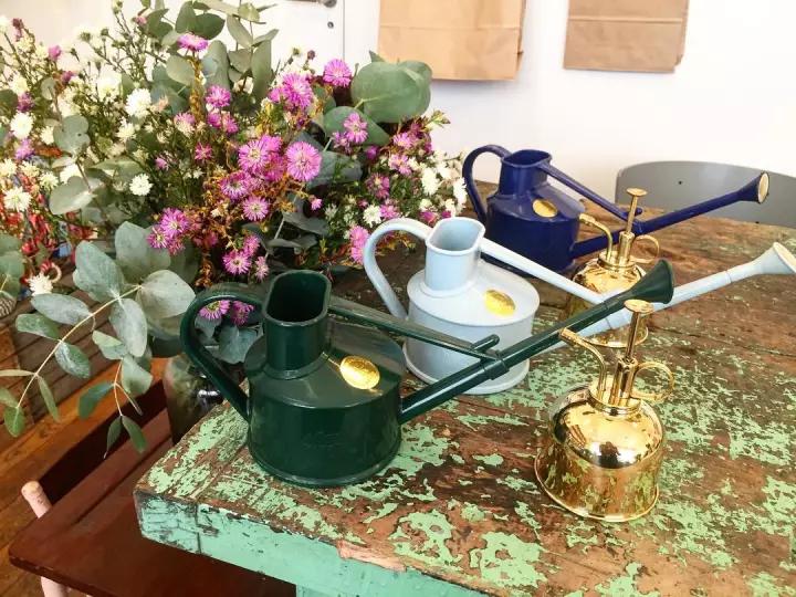 只卖绿植的店,一家开在老城区的网红绿植店铺