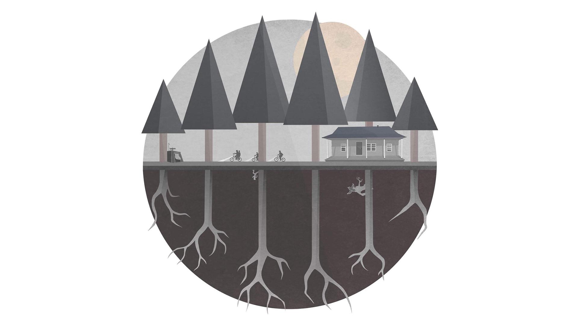 淘宝购物评价注意事项大全,淘宝购物需要注意哪些细节