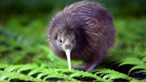 为什么同样的水果价格相差很多,为什么一样的水果价格差距太大