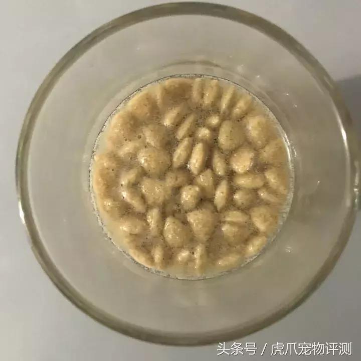 疯狂小狗牌子狗粮属于啥档次,疯狂的小狗和凯锐思哪个狗粮好