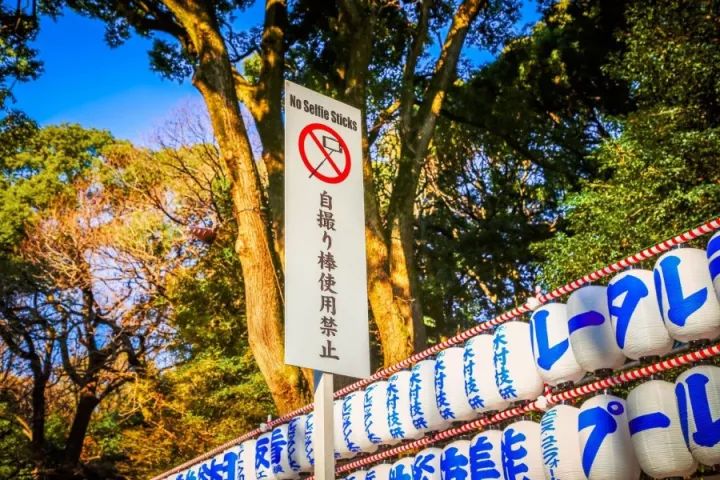 元旦｜做一个现代白领在「日本新年」来临前的谜之淡定