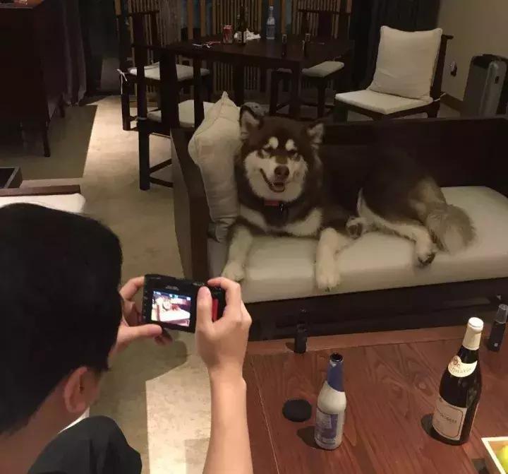 王思聪名媛女友,coco王思聪在一起过吗