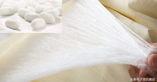 100%桑蚕丝合格品蚕丝被,质量标准100%纯蚕丝被