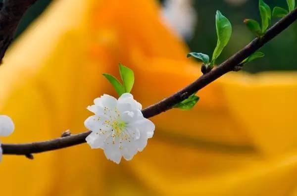 泉州是全国第几大城市,泉州这座城市有名吗