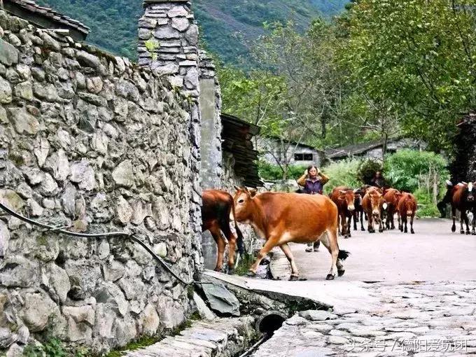 德阳爱玩团:雅安有个小县城要逆天!满足你所有的幻想