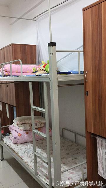 深圳科学高中开放日人气火爆,深圳市科学高中2024开放日