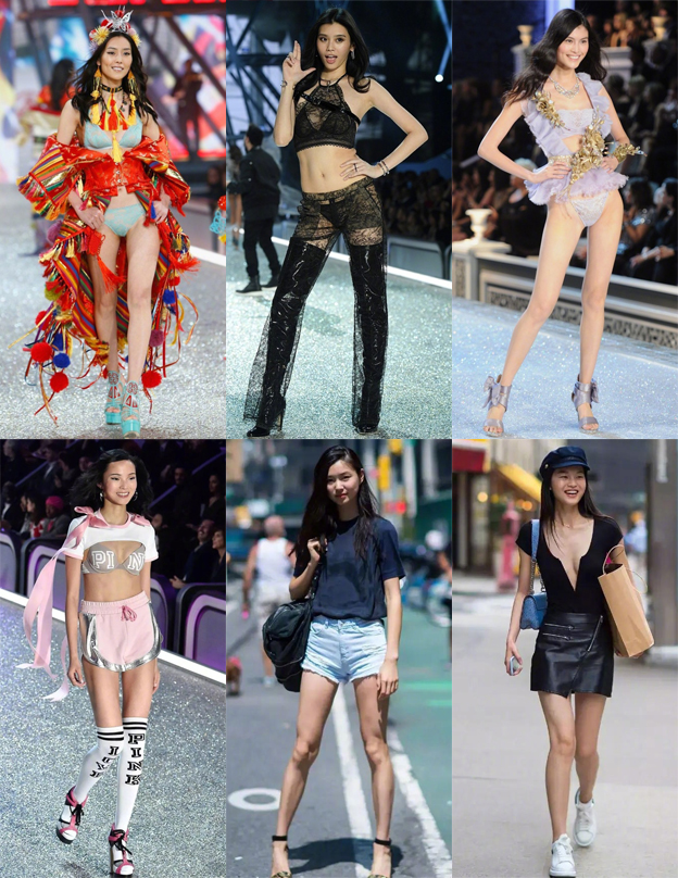 维密大秀翅膀,2013维密秀大翅膀