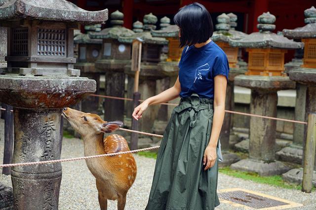 日本关西夏日赏——今夕传媒旅行家出品