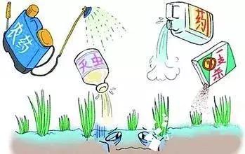 中医把脉你信吗,中医农业