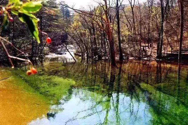 天堂寨你最美抖音,天堂寨天堂之境