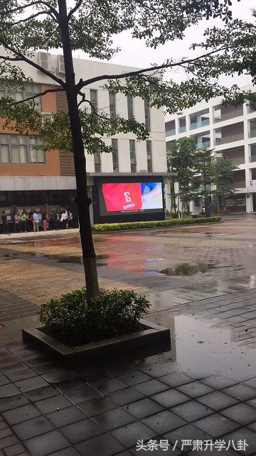 深圳科学高中开放日人气火爆,深圳市科学高中2024开放日