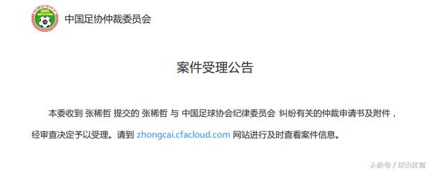 张稀哲里皮事件,张稀哲里皮