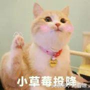 日本药妆店必买清单2023,最新日本药妆店必买清单