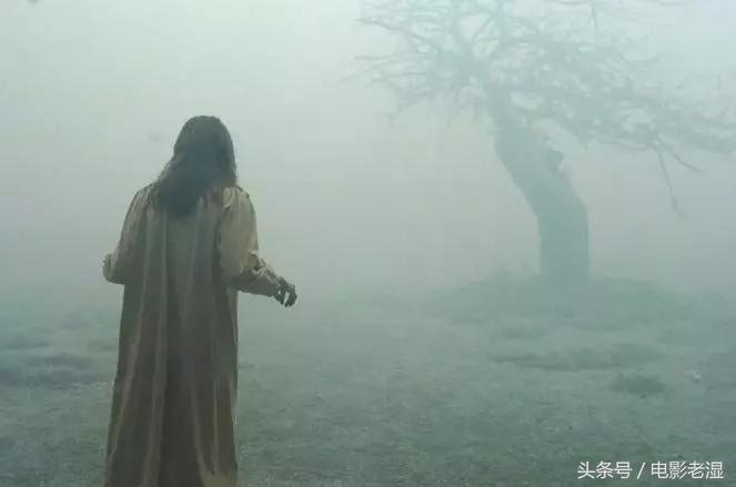 上百部高分恐怖片,全看完我敬你是条汉子(第二季)