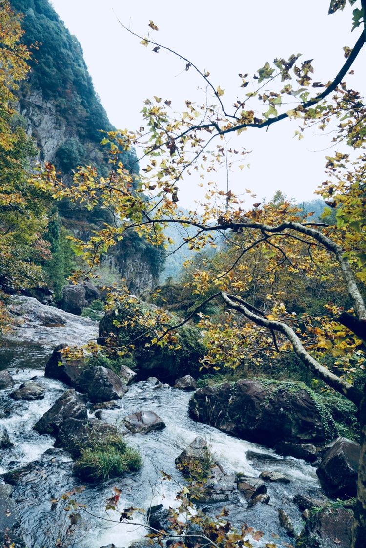 温州三八妇女节好玩的地方,温州三八节活动