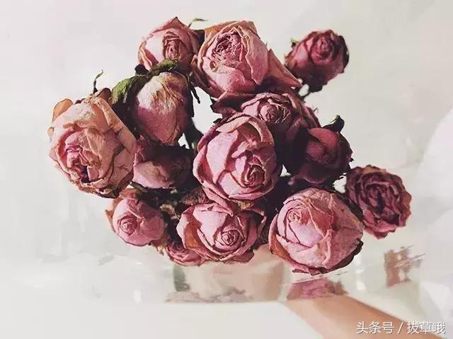 烟熏玫瑰色口红适合黄皮吗,对黄皮友好的润唇