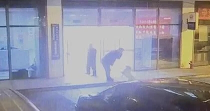 怀孕期间可以养鹦鹉吗,怀孕期间可以养动物吗