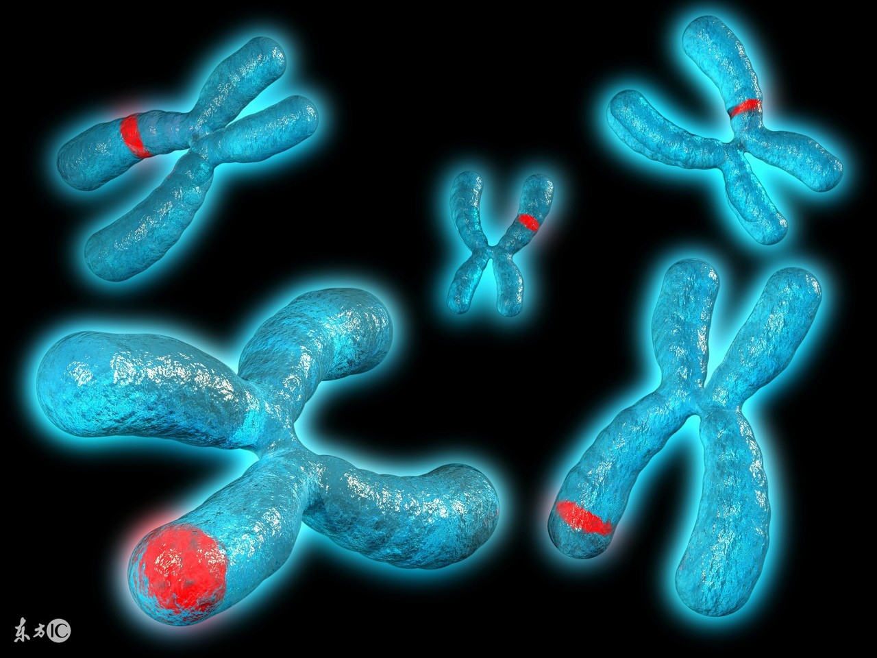 第一例基因治疗改变DNA治罕病！美科学家实验体内基因编辑