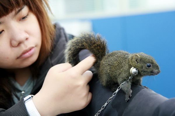 农村很多人不知道的养羊技术,一般人不知道的养殖项目