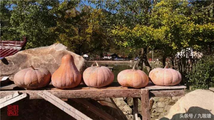 美醉了!了不起的金寨