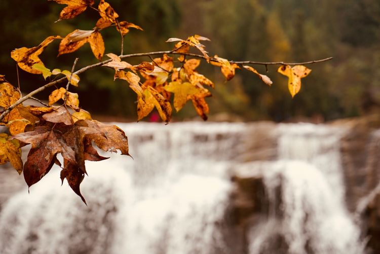 温州三八妇女节好玩的地方,温州三八节活动