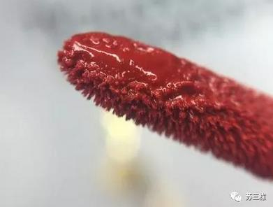 armani阿玛尼传奇红管405,阿玛尼口红唇釉红管405烂番茄色