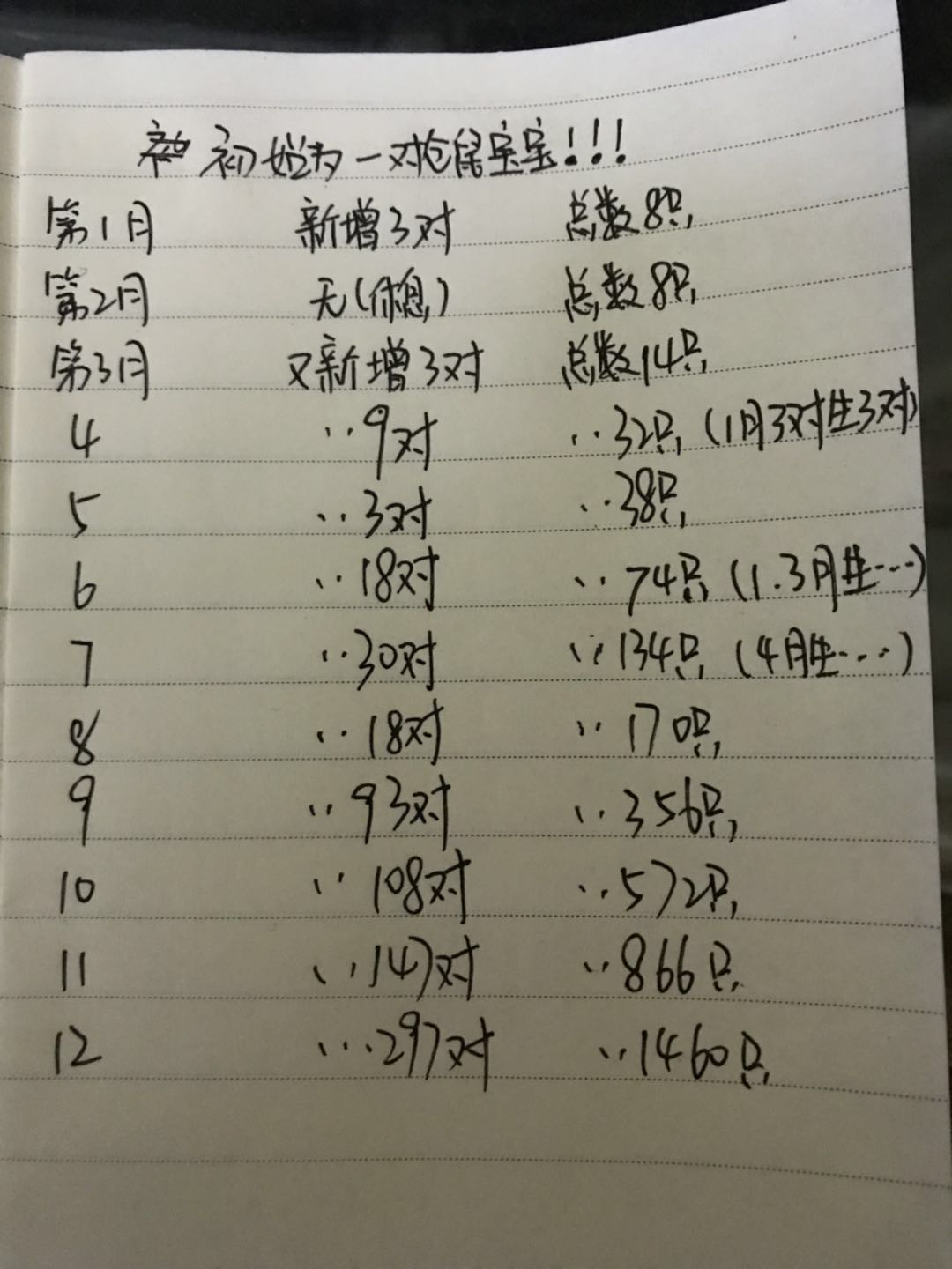 仓鼠一般能生多少只,每个品种的仓鼠都很能生吗