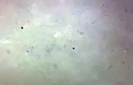 翡翠作假新手法——抛光粉上色，千万要注意了！