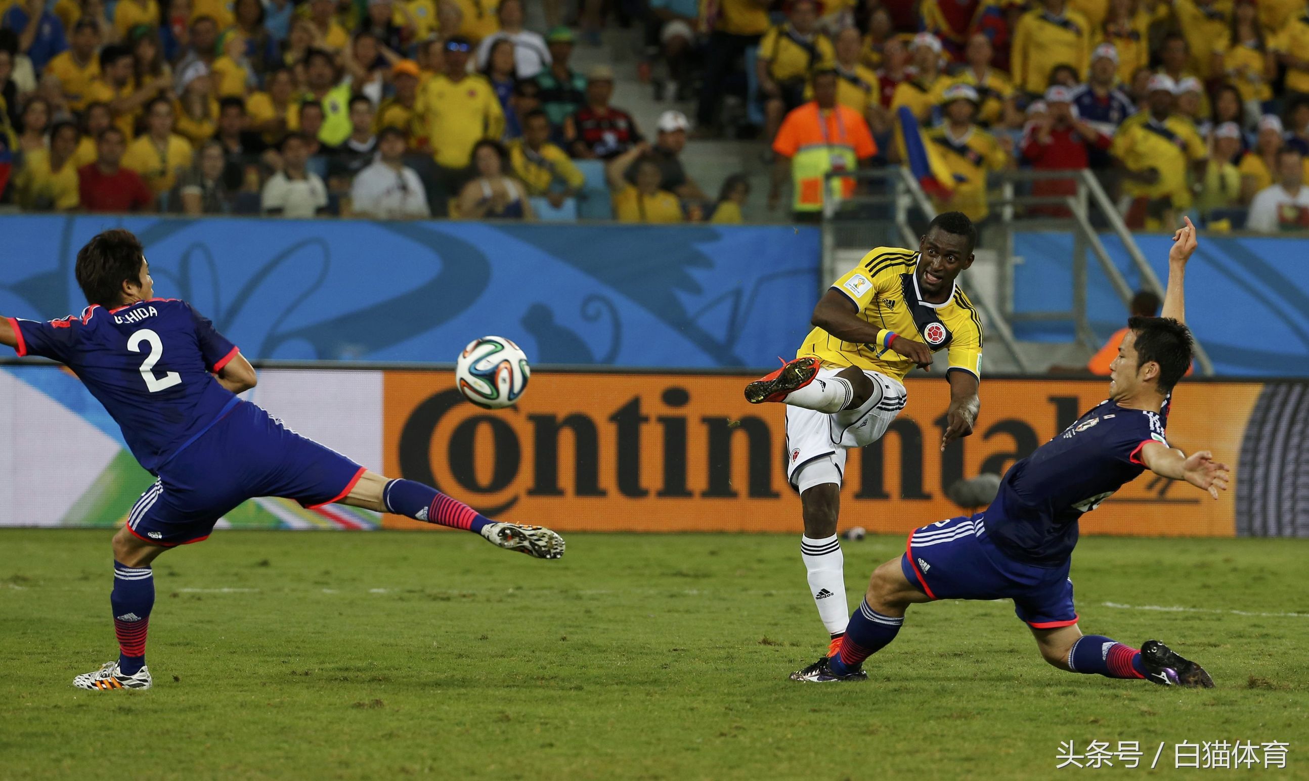 世界杯亚洲沙特伊朗实力,世界杯亚洲预选赛输给沙特后局势