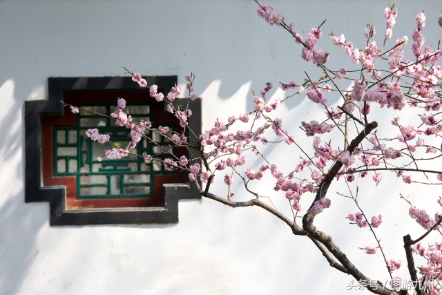 讲座图游九州巡回摄影公益讲座——河北站