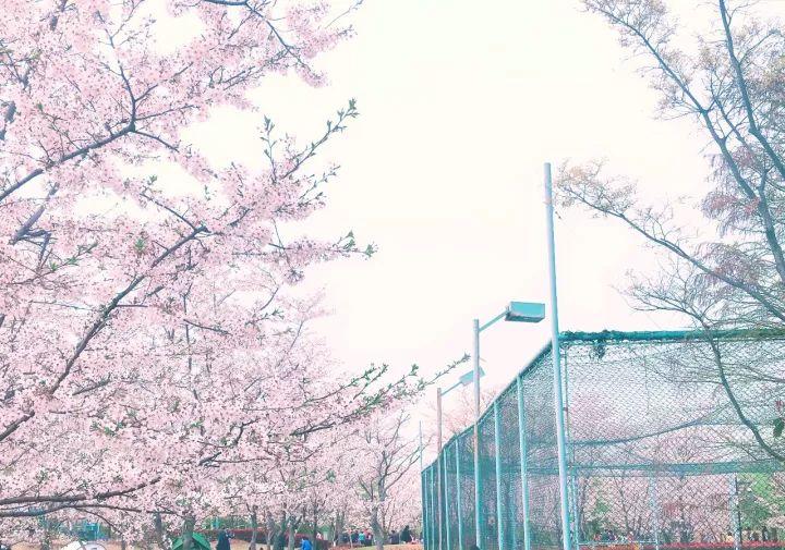 上海魔都区的发展,魔都上海未来几百年的样子