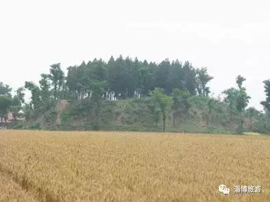 临淄文化古迹,临淄路名