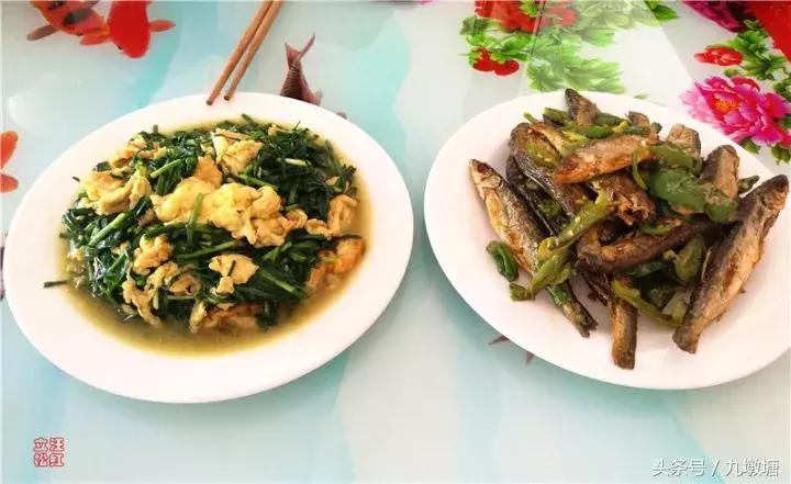 美醉了!了不起的金寨