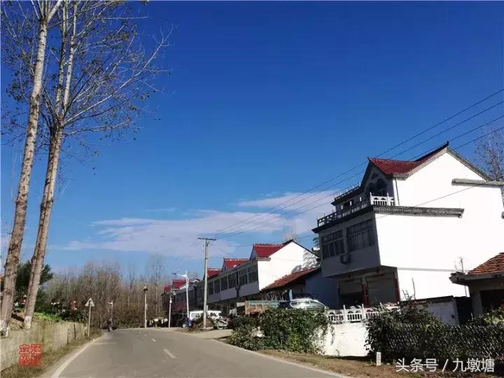 美醉了!了不起的金寨