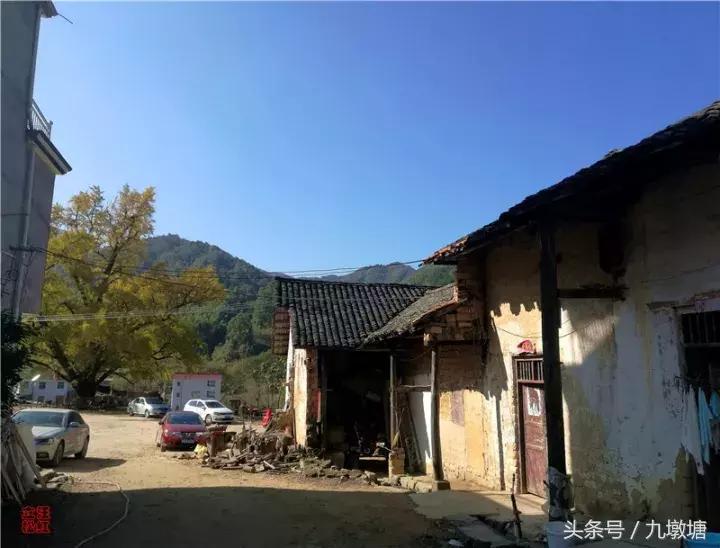 美醉了!了不起的金寨