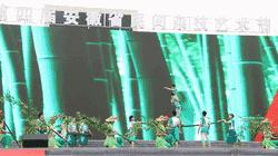 临泉乐翻天,临泉体育场球赛直播