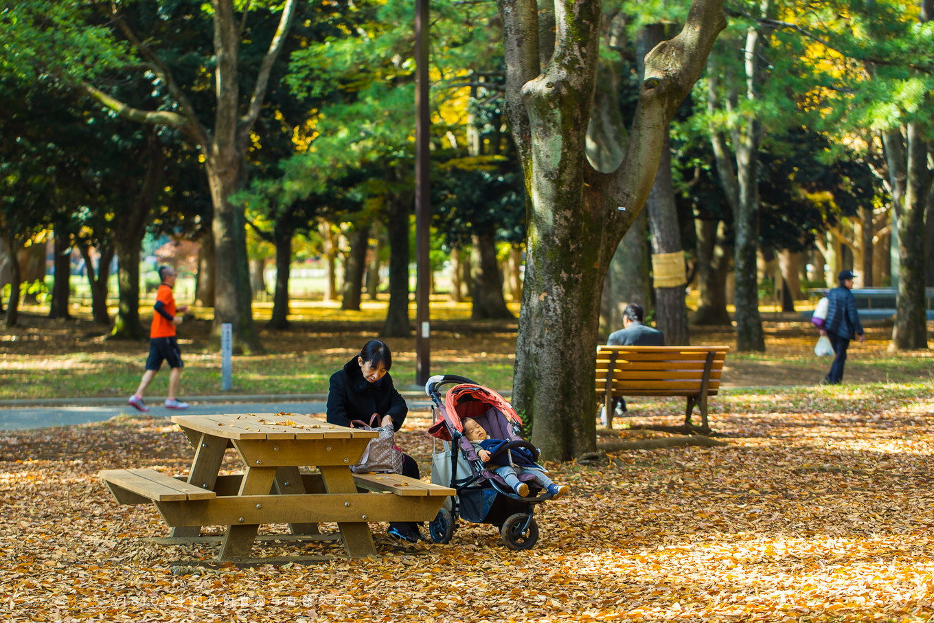 去东京玩用什么攻略,东京攻略东京