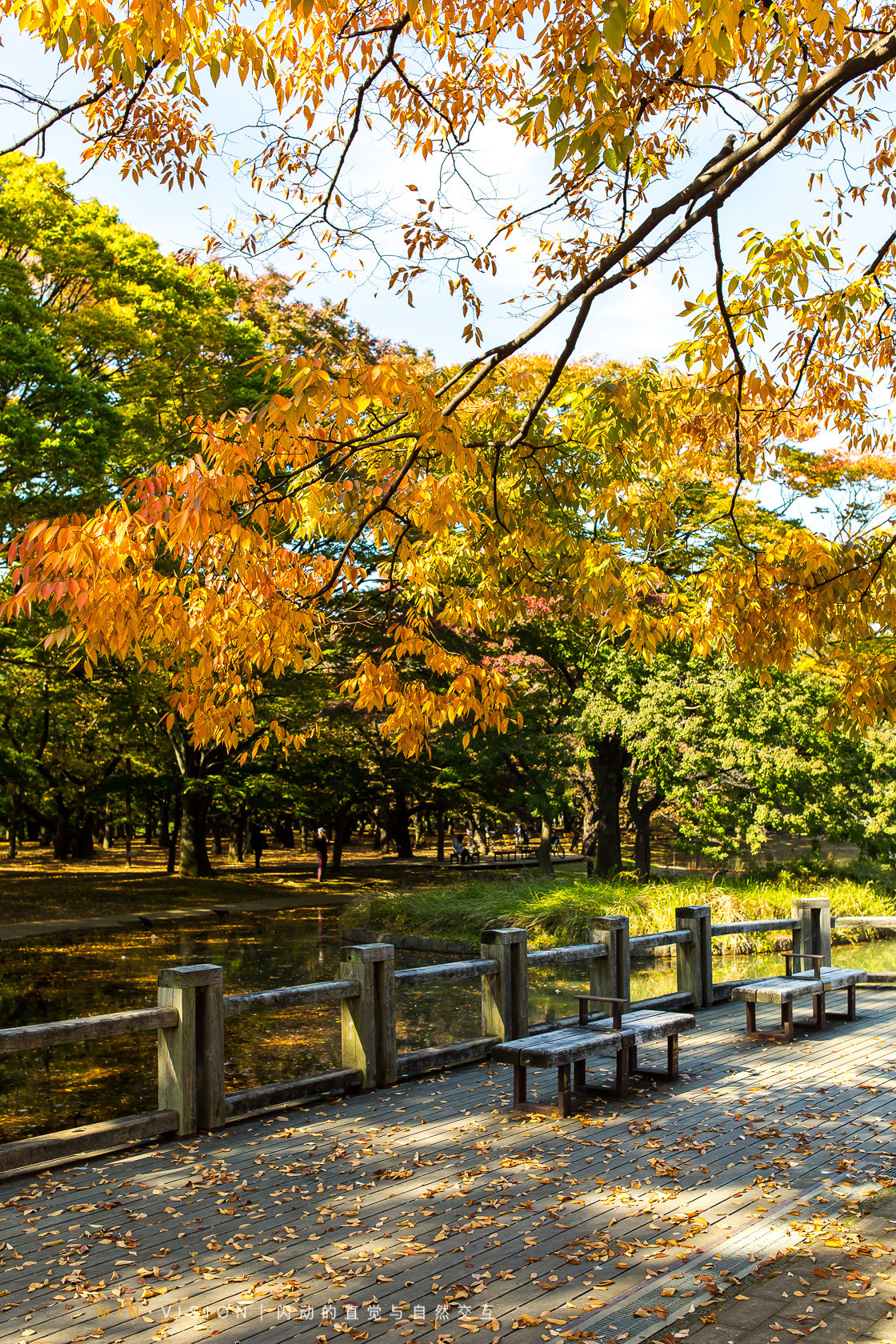 去东京玩用什么攻略,东京攻略东京