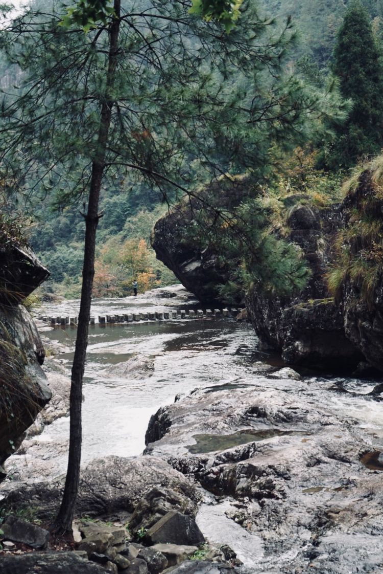 温州三八妇女节好玩的地方,温州三八节活动